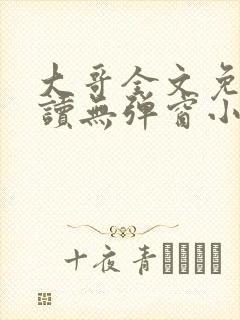大哥全文免费阅读无弹窗小说