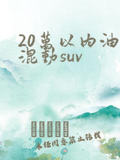 20万以内油电混动suv