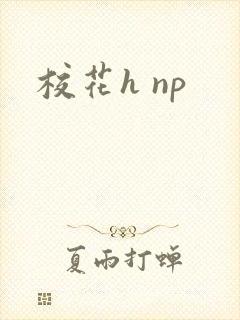 校花h np