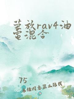 荣放rav4油电混合