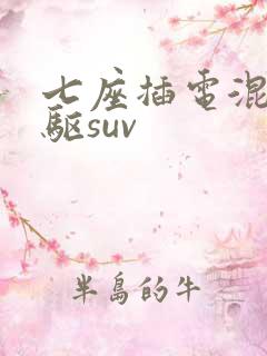 七座插电混动四驱suv