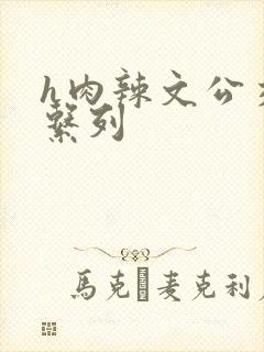 h肉辣文公交车系列