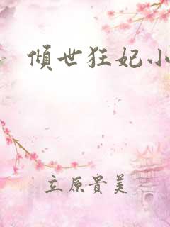 倾世狂妃小说