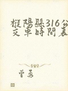 枞阳县316公交车时间表