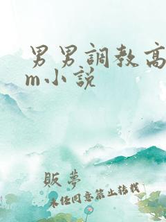 男男调教高hsm小说