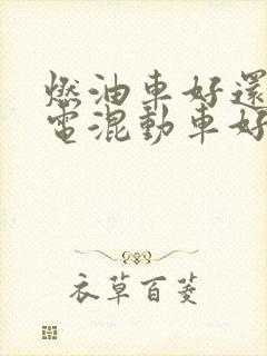 燃油车好还是插电混动车好