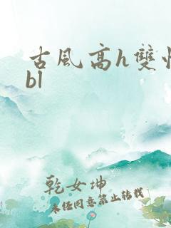 古风高h双性受bl