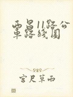西昌11路公交车路线图