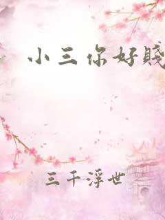 小三你好贱下载
