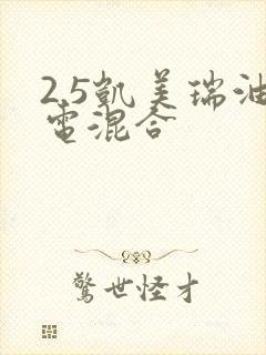 2.5凯美瑞油电混合