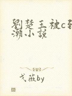 刘楚玉被c到高潮小说