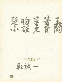 楚昀宁萧王穿越小说免费阅读无弹窗