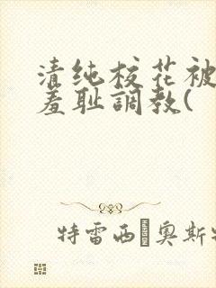 清纯校花被民工羞耻调教(