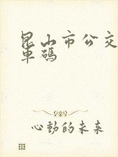 昆山市公交车乘车码