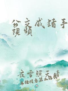 公交咸猪手全部视频