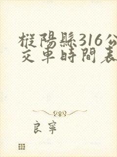 枞阳县316公交车时间表