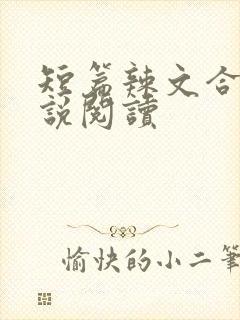 短篇辣文合集小说阅读