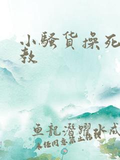 小骚货操死你调教