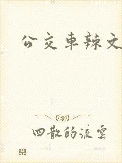 公交车辣文h