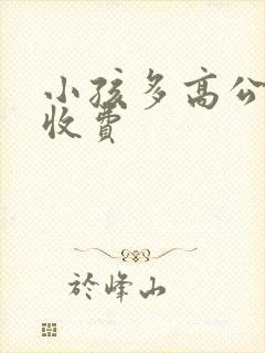 小孩多高公交车收费 小孩多高公交车收费