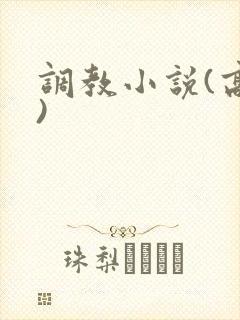 调教小说(高h)