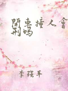 开车撞人会被判刑吗