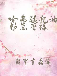 哈弗猛龙油电混动怎么样