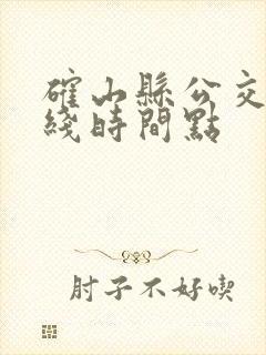 确山县公交车路线时间点