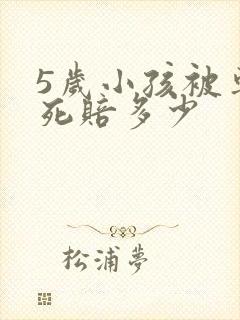 5岁小孩被车撞死赔多少