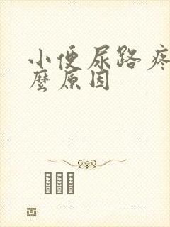 小便尿路疼是什么原因