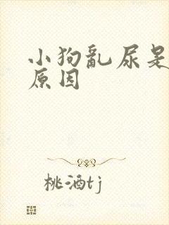 小狗乱尿是什么原因
