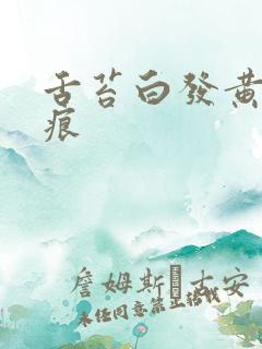 舌苔白发黄有齿痕