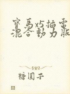 宝马x5插电式混合动力版