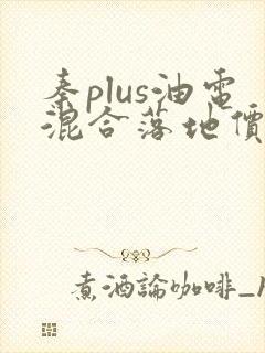 秦plus油电混合落地价