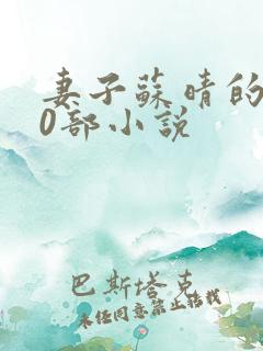 妻子苏晴的100部小说 妻子苏晴的100部小说
