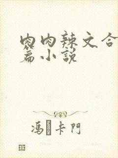 肉肉辣文合集短篇小说