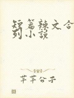 短篇辣文合集系列小说