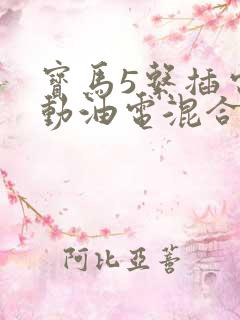 宝马5系插电混动油电混合怎么样