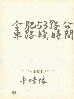 合肥53路公交车路线时间表