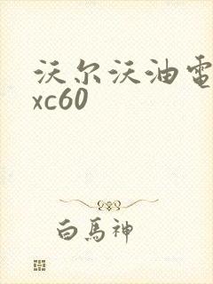 沃尔沃油电混动xc60 沃尔沃油电混动xc60
