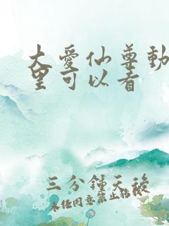 大爱仙尊动漫哪里可以看
