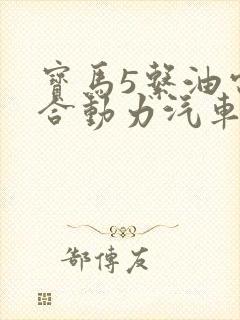 宝马5系油电混合动力汽车价格