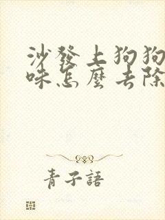沙发上狗狗尿骚味怎么去除