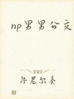 np男男公交车