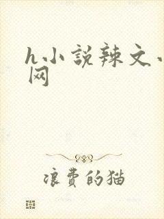 h小说辣文小说网