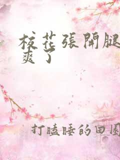 校花张开腿让我爽了