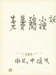 生万物小说原著免费阅读