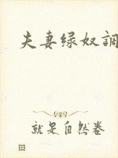 夫妻绿奴调教
