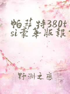 帕萨特380tsi豪华版报价