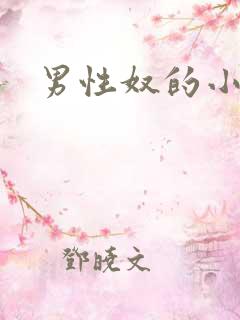 男性奴的小说